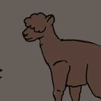 Thumbnail for ANI-2544: Alpaca (F)