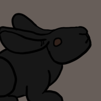 Thumbnail for ANI-2548: Domestic Rabbit Beveren  (F)