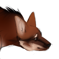 Thumbnail for ANI-2558: Maned Wolf (F)