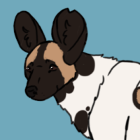 Thumbnail for ANI-2572: African Wild Dog (M)