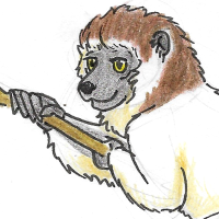 Thumbnail for ANI-2576: Verreaux's Sifaka (M)