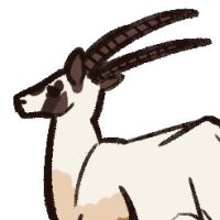 Thumbnail for ANI-2581: Arabian Oryx (F)