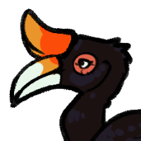 Thumbnail for ANI-2587: Rhinoceros Hornbill (F)