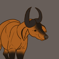 Thumbnail for ANI-2593: African Forest Buffalo (M)