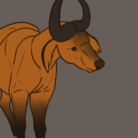 Thumbnail for ANI-2594: African Forest Buffalo (F)