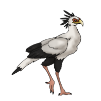 Thumbnail for ANI-2617: Secretary Bird (F)