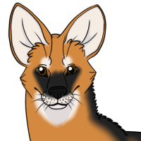 Thumbnail for ANI-2811: Armando