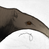 Thumbnail for ANI-2815: carpenter