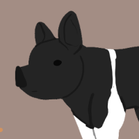 Thumbnail for ANI-2829: Domestic Hog Kunekune  (M)