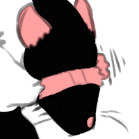 Thumbnail for ANI-2836: Mr. Whiskers