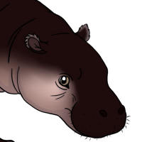 Thumbnail for ANI-2857: Kallippos