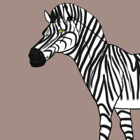 Thumbnail for ANI-2862: Grévy's Zebra (F)