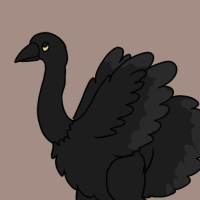 Thumbnail for ANI-2863: Ostrich (F)