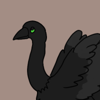 Thumbnail for ANI-2864: Ostrich (M)