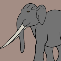Thumbnail of ANI-2871: Palaeoloxodon Namadicus (M)