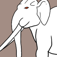 Thumbnail for ANI-2874: Blue & Chocolate & Leucistic & Piebald & Vitiligo Palaeoloxodon Namadicus (F)