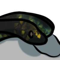 Thumbnail image for ANI-2878: naliaka