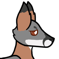 Thumbnail for ANI-2885: Island Fox (F)