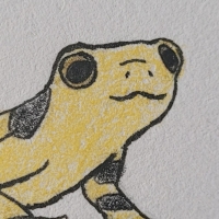 Thumbnail for ANI-2899: Dorado