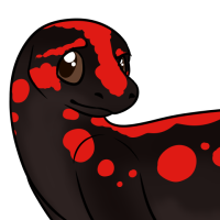 Thumbnail for ANI-2913: Yunnan lake newt (F)