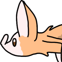 Thumbnail for ANI-2931: Pumpkin