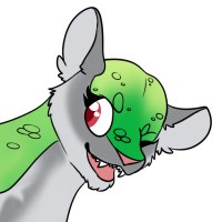 Thumbnail image for ANI-2108: Finnea