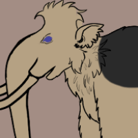 Thumbnail for ANI-2944: Woolly Mammoth (F)