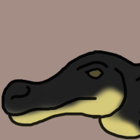 Thumbnail for ANI-2949: American Alligator (M)