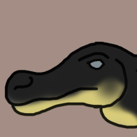 Thumbnail for ANI-2950: American Alligator (M)