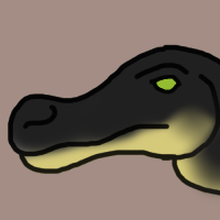 Thumbnail for ANI-2951: American Alligator (F)