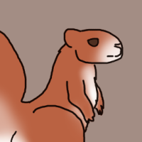 Thumbnail for ANI-2952: Red Squirrel (F)