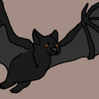 Thumbnail for ANI-2955: Black Myotis (F)