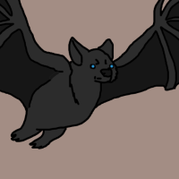 Thumbnail for ANI-2956: Black Myotis (M)