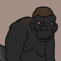 Thumbnail for ANI-2957: Lowland Gorilla (F)