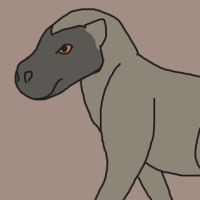 Thumbnail for ANI-2958: Olive Baboon (M)