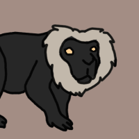 Thumbnail for ANI-2959: Lion-tailed Macaque (F)