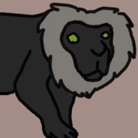 Thumbnail for ANI-2960: Lion-tailed Macaque (M)