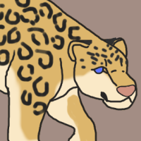 Thumbnail for ANI-2963: African Leopard (F)