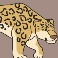 Thumbnail for ANI-2964: African Leopard (F)