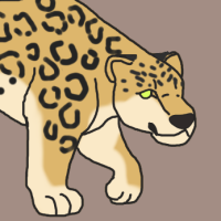 Thumbnail for ANI-2965: African Leopard (M)