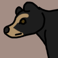Thumbnail for ANI-2967: Spectacled Bear (M)