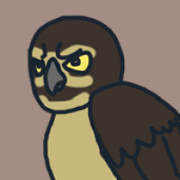Thumbnail for ANI-2971: Spectacled Owl (F)