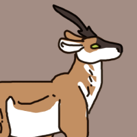 Thumbnail for ANI-2973: Pronghorn (M)