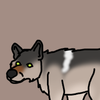Thumbnail for ANI-2974: Grey Wolf (M)