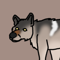 Thumbnail for ANI-2975: Grey Wolf (M)