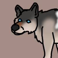 Thumbnail for ANI-2976: Grey Wolf (F)