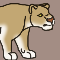 Thumbnail for ANI-2982: African Lion (F)
