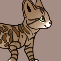 Thumbnail for ANI-2988: Leopard Cat (F)