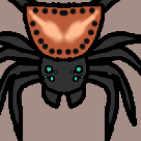 Thumbnail for ANI-2991: Orb-Weaver (M)