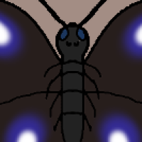 Thumbnail for ANI-2993: Blue Moon Butterfly (F)